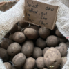 Læggekartofler - Solist