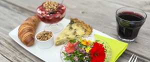 Natur brunch på Naturplanteskolen