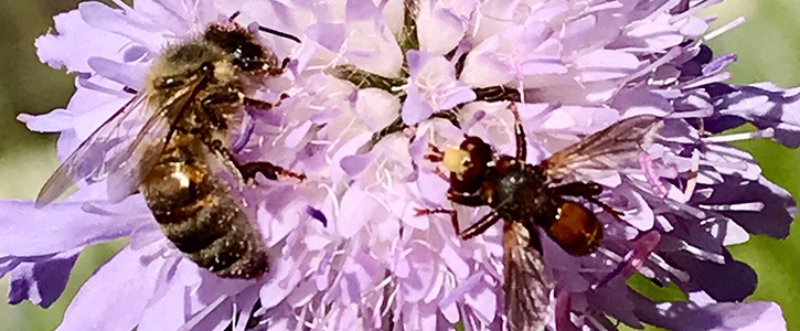 Biernes dag og naturbingo